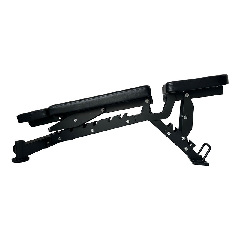 새로운 다기능 조절식 상업용 덤벨 벤치 및 벤치 프레스 - Adjustable Dumbbells 리뷰 및 가격