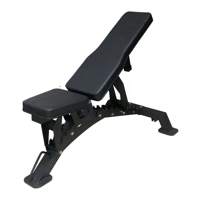 고품질 조절식 워크아웃 벤치, 홈 트레이닝에 적합: 근 - Adjustable Dumbbells 리뷰 및 가격