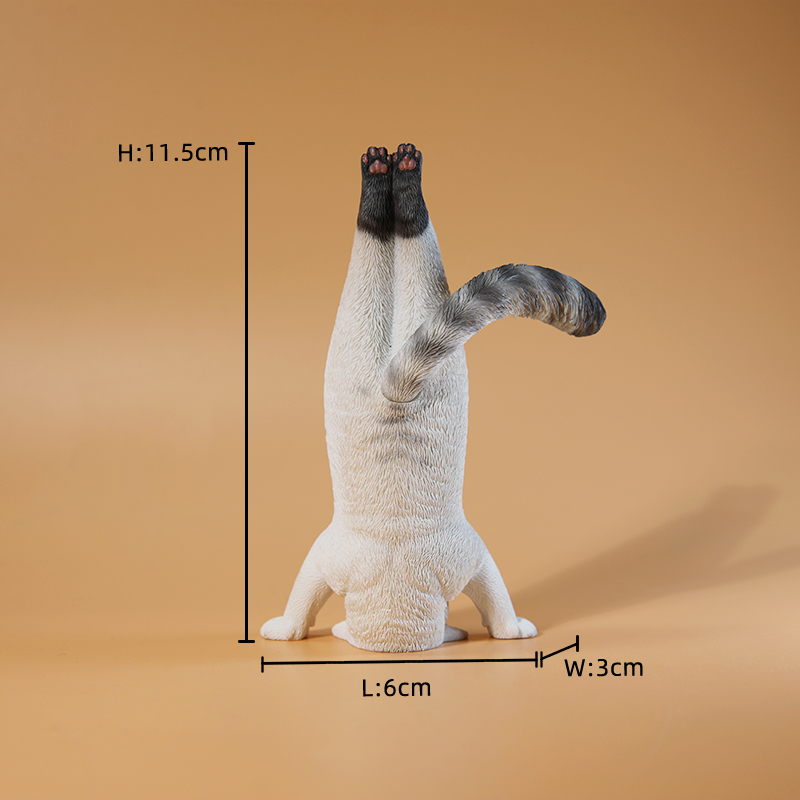 1/6 스케일 미니 시뮬레이션 피트니스 고양이 요가 동 - Yoga Fitness First 리뷰 및 가격