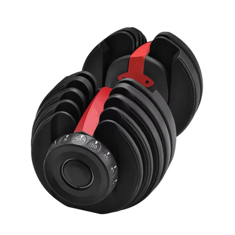 프리 웨이트 짐 세트 주철 조절식 덤벨 바벨 50kg  - Adjustable Dumbbells 리뷰 및 가격